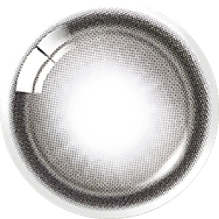 라라티어 그레이